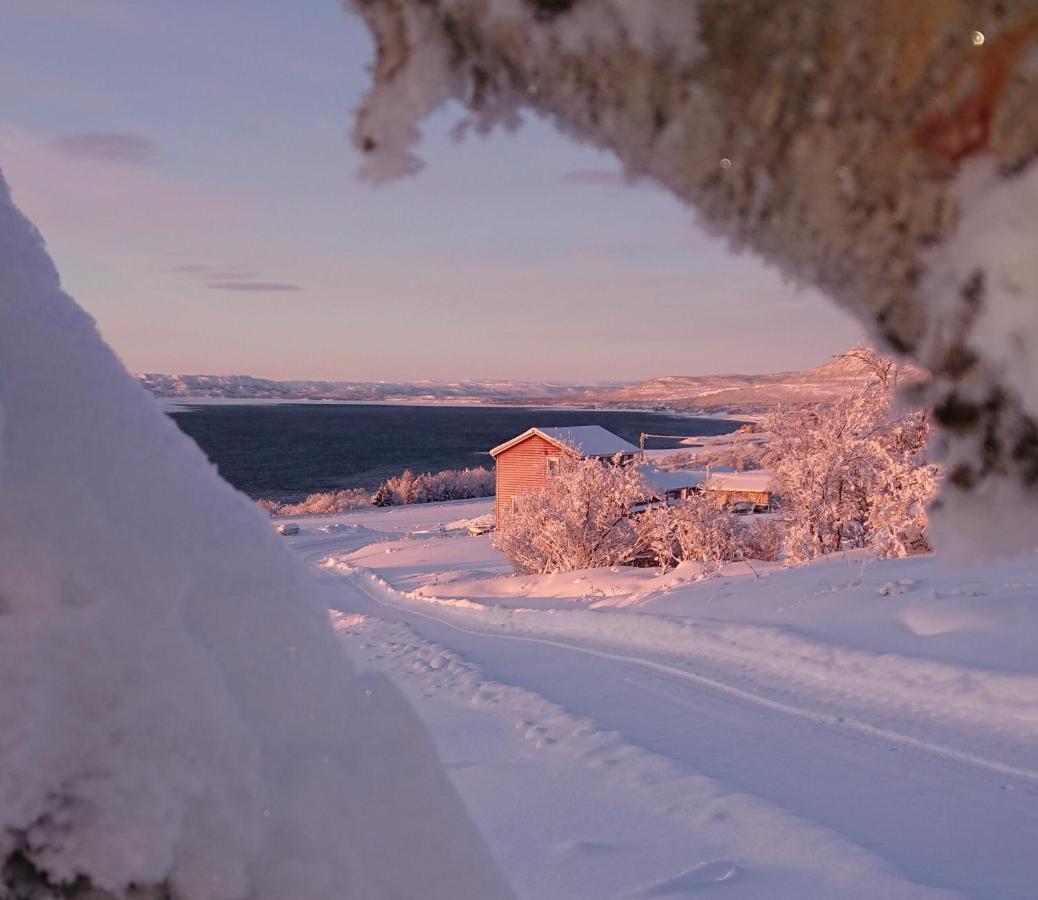 Nesseby Guesthouse Varangerbotn Exteriér fotografie
